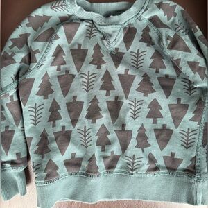 Hanna Andersson Christmas sweatshirt